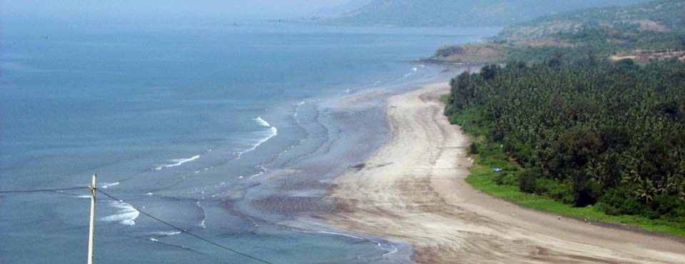 Swim in the clean, warm waters of the Arabian Sea